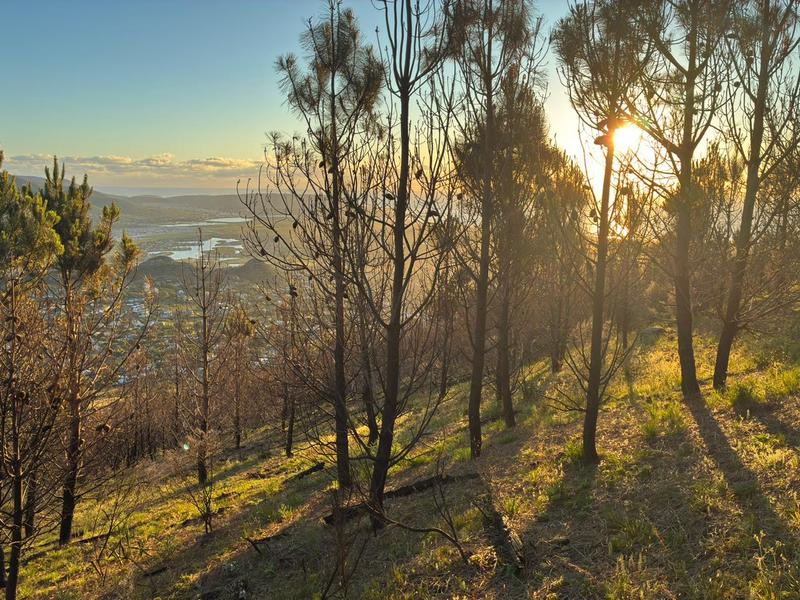 To Let 3 Bedroom Property for Rent in Noordhoek Western Cape